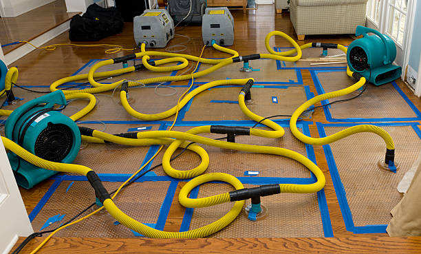 Professional Basement Flood Cleanup technician working in Alborn, MN